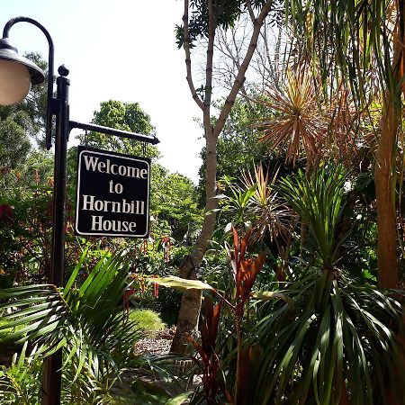 Hornbill House Bed and Breakfast Mtubatuba Buitenkant foto