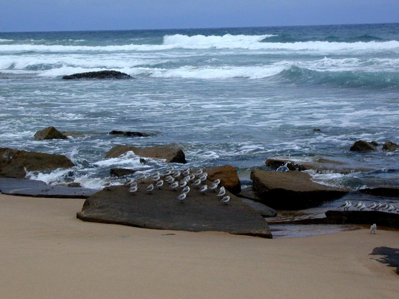 Hornbill House Bed and Breakfast Mtubatuba Buitenkant foto